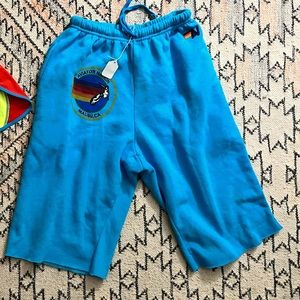 NWT Men’s S cut off Aviator Nation sweat shorts